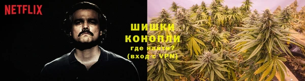 МДПВ Новодвинск