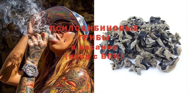 МДПВ Новодвинск