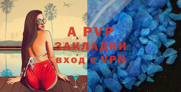 ECSTASY Новозыбков