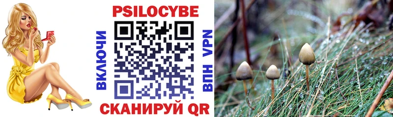 сколько стоит Кологрив ссылка на мегу как войти Галлюциногенные грибы Cubensis